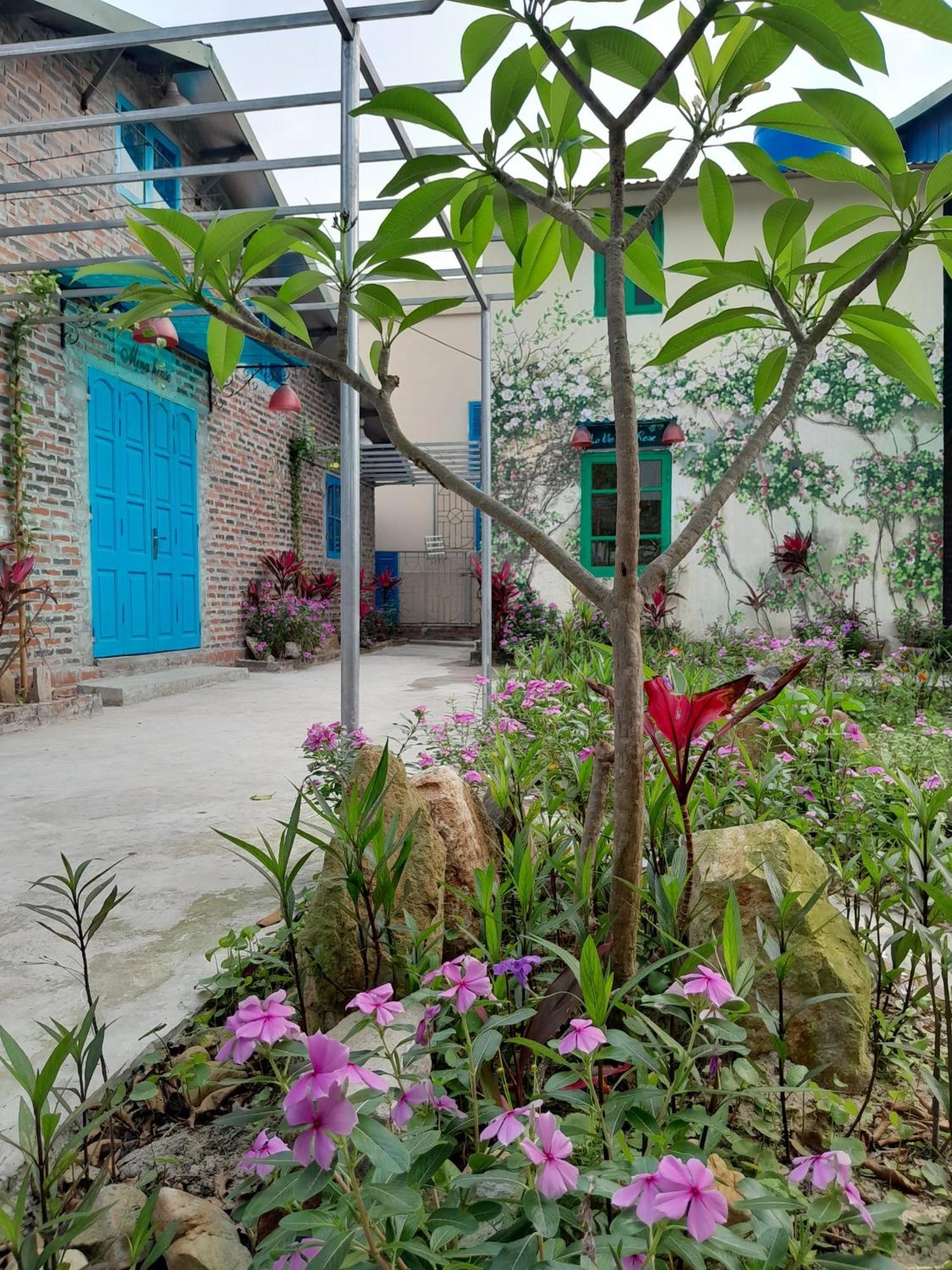 Mina Cafe & Stay Quan Lan Exterior photo